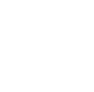 Terra Fit logo